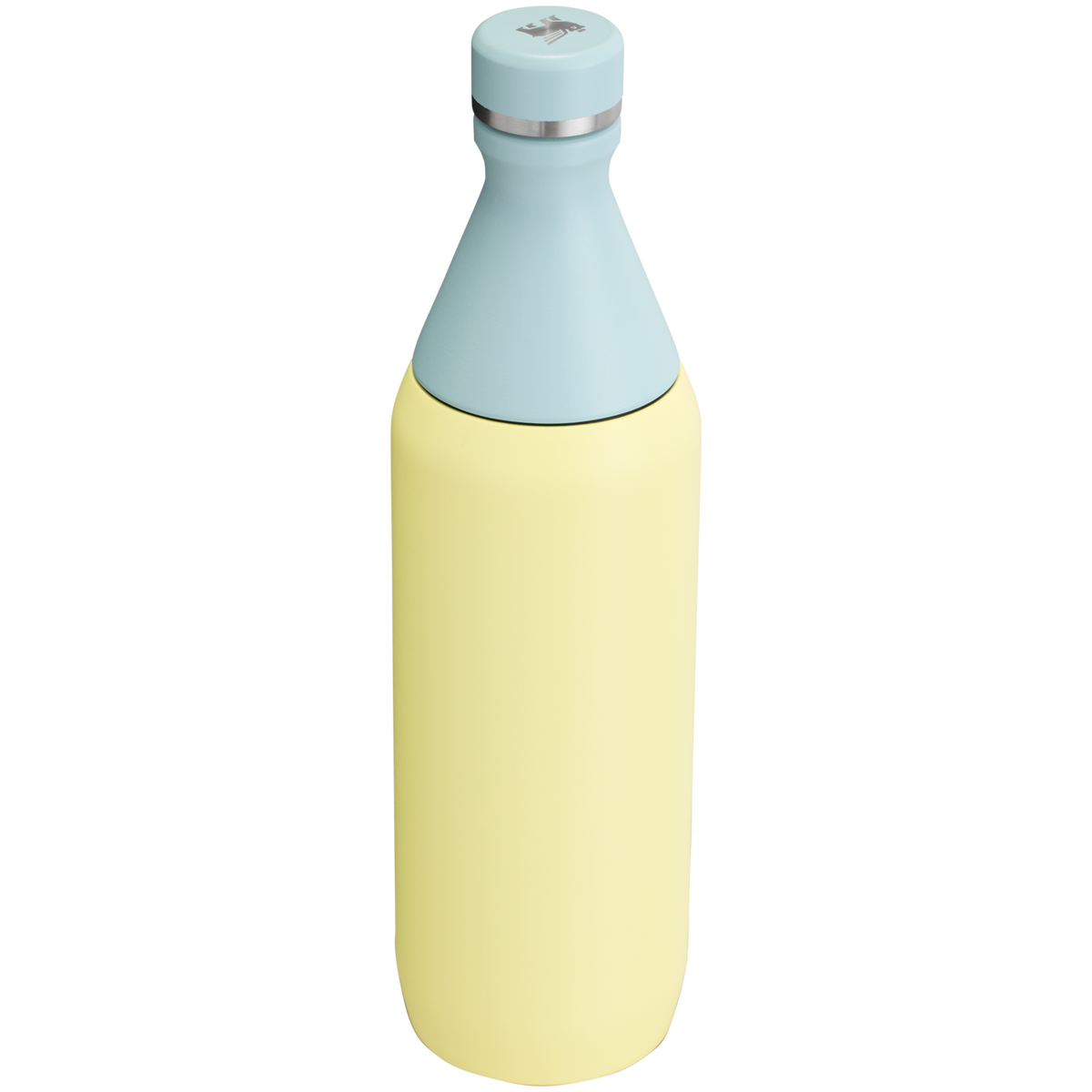 All Day Slim Bottle | 20 OZ - Stanley Create